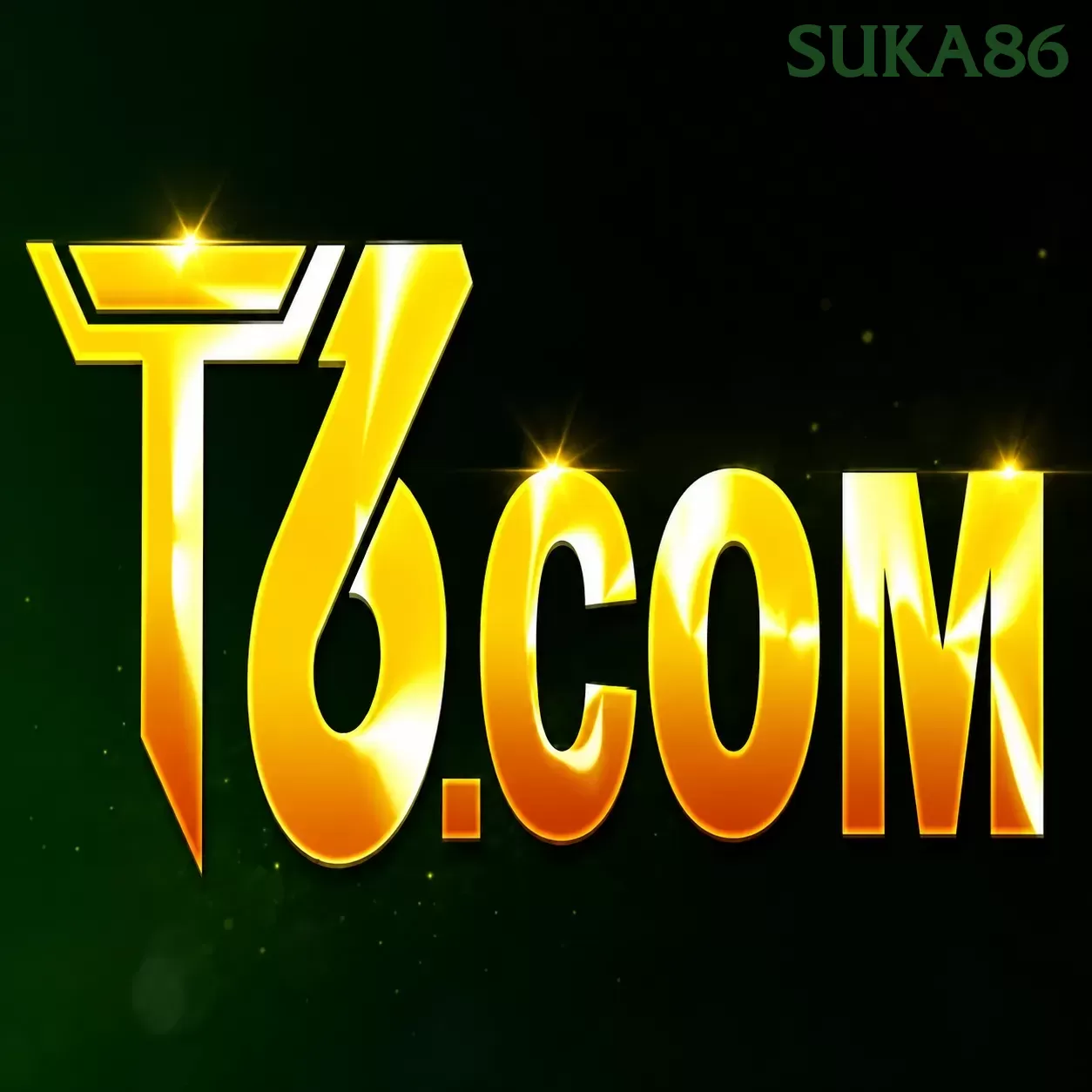 Ikon t6